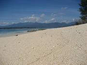 INDONESIA   LAND   BEACH  FRONT  30 hectare  FOR   RENT  30 YEARS