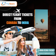Tripbeam | Direct flight tickets from Canada to India
