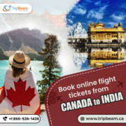 Tripbeam | Book online flight tickets from Canada to India