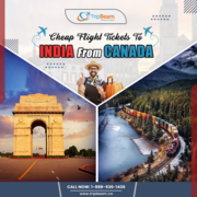 Cheap Flight Tickets To India From Canada
