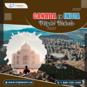 Cheap Flights to India from Canada | Tripbeam